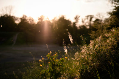 Allergies and salt therapy