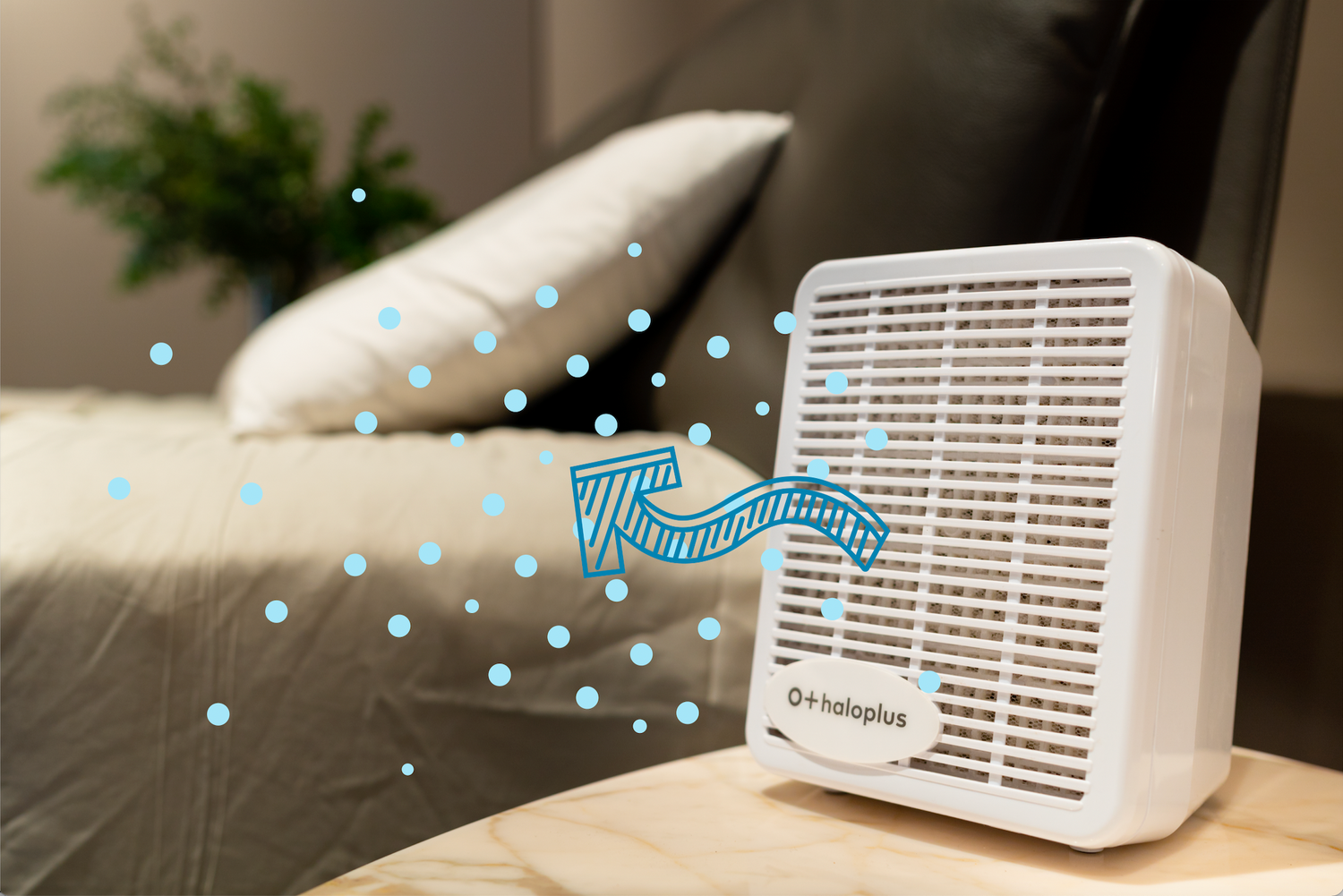 Haloplus Halotherapiegerät - Vorführgerät mit 1 Jahr Garantie